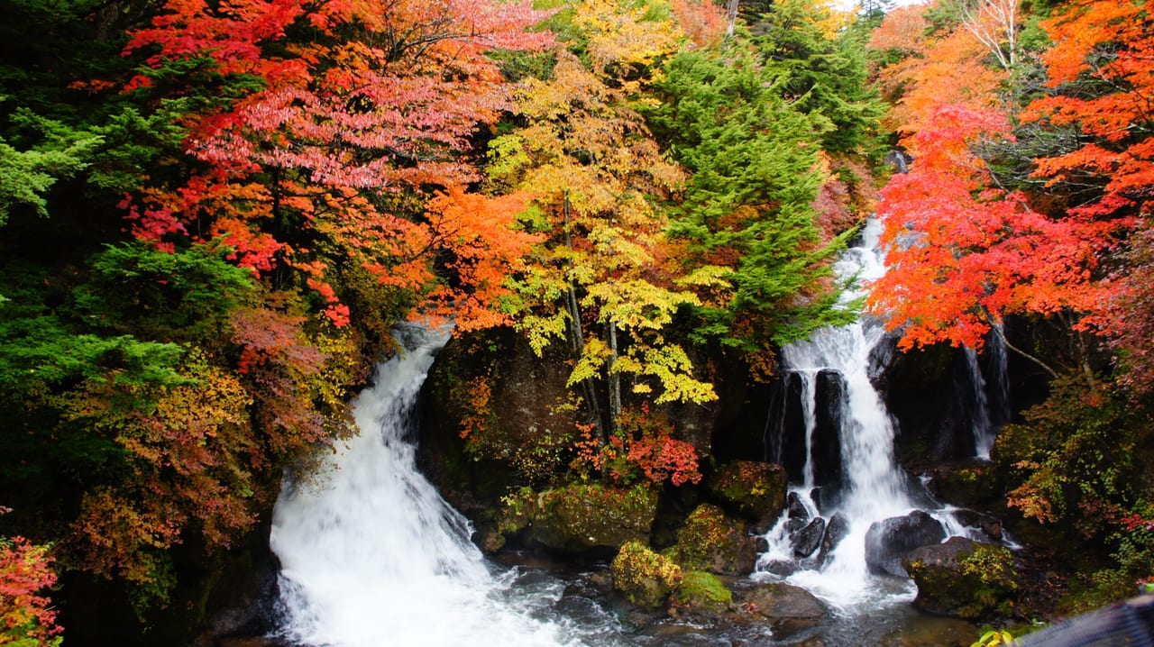 メガソーラ（秋保）